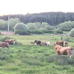 El Descanso De Pinares - Vut En Lejlighed Huerta Del Rey
