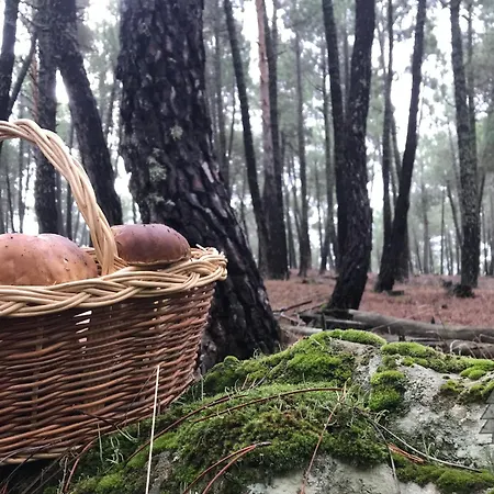 El Descanso De Pinares - Vut En Lejlighed