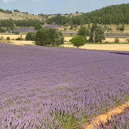Apartmán El Descanso De Pinares - Vut En Huerta Del Rey