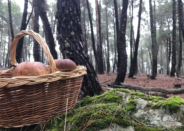 El Descanso De Pinares - Vut En Lejlighed