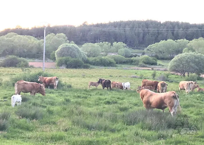 El Descanso De Pinares - Vut En Lejlighed Huerta Del Rey